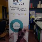 Economical Retractable Banner